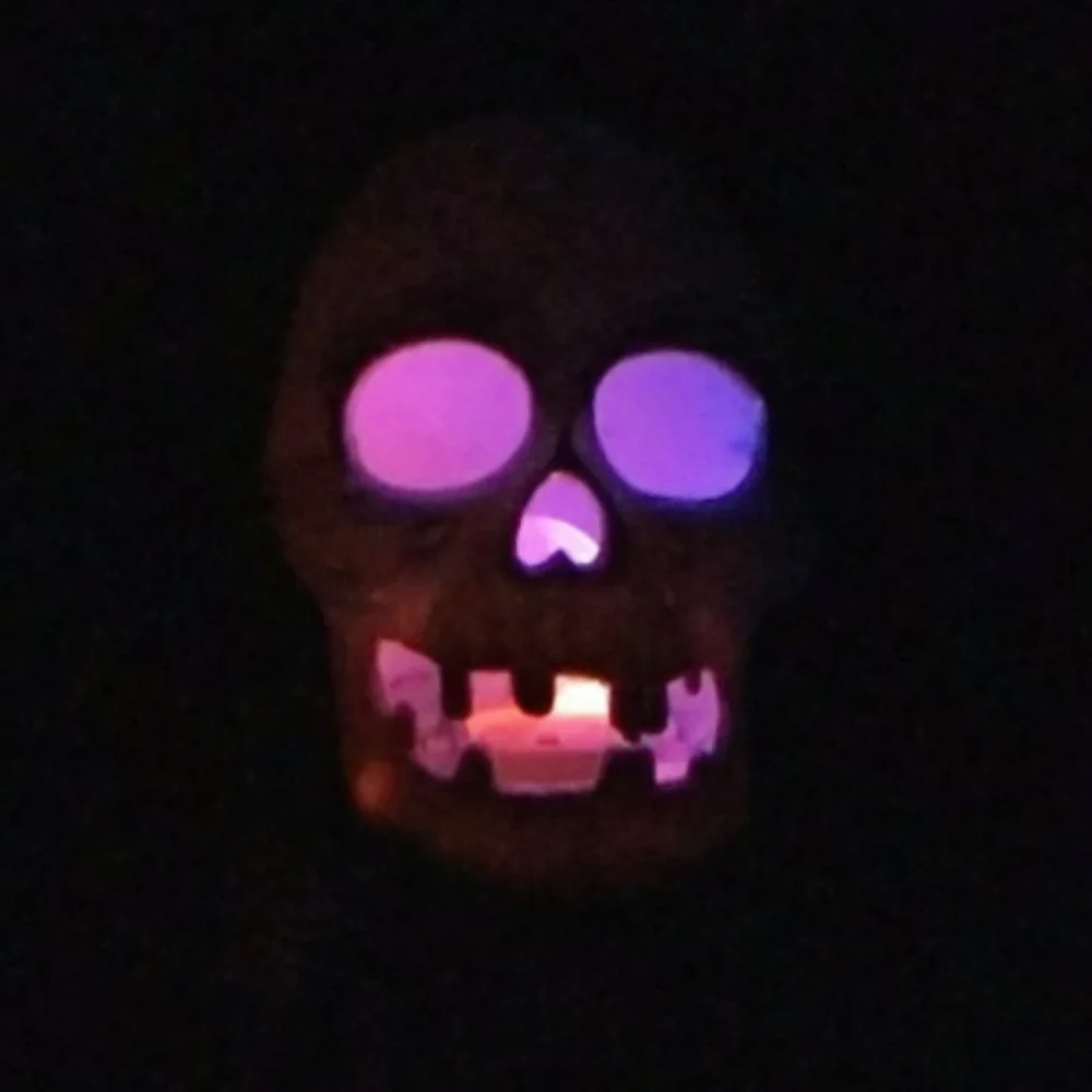 Flashing LED Skull Light Decoration